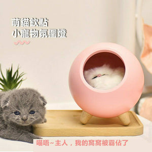超萌寵物貓咪夜燈 /氛圍燈 /USB小夜燈 /床頭燈/ 伴睡夜燈