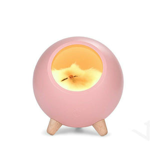 超萌寵物貓咪夜燈 /氛圍燈 /USB小夜燈 /床頭燈/ 伴睡夜燈