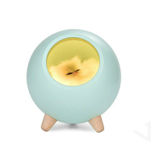 超萌寵物貓咪夜燈 /氛圍燈 /USB小夜燈 /床頭燈/ 伴睡夜燈