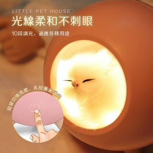 超萌寵物貓咪夜燈 /氛圍燈 /USB小夜燈 /床頭燈/ 伴睡夜燈