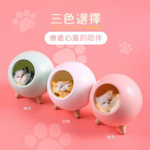 超萌寵物貓咪夜燈 /氛圍燈 /USB小夜燈 /床頭燈/ 伴睡夜燈