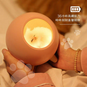 超萌寵物貓咪夜燈 /氛圍燈 /USB小夜燈 /床頭燈/ 伴睡夜燈