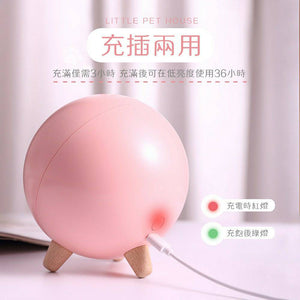 超萌寵物貓咪夜燈 /氛圍燈 /USB小夜燈 /床頭燈/ 伴睡夜燈
