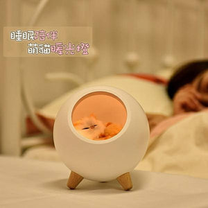 超萌寵物貓咪夜燈 /氛圍燈 /USB小夜燈 /床頭燈/ 伴睡夜燈